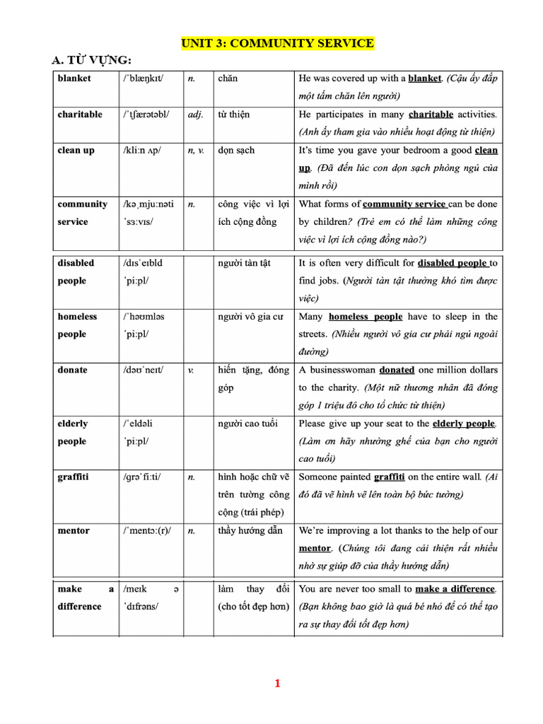 UNIT 3- COMMUNITY SERVICE | PDF