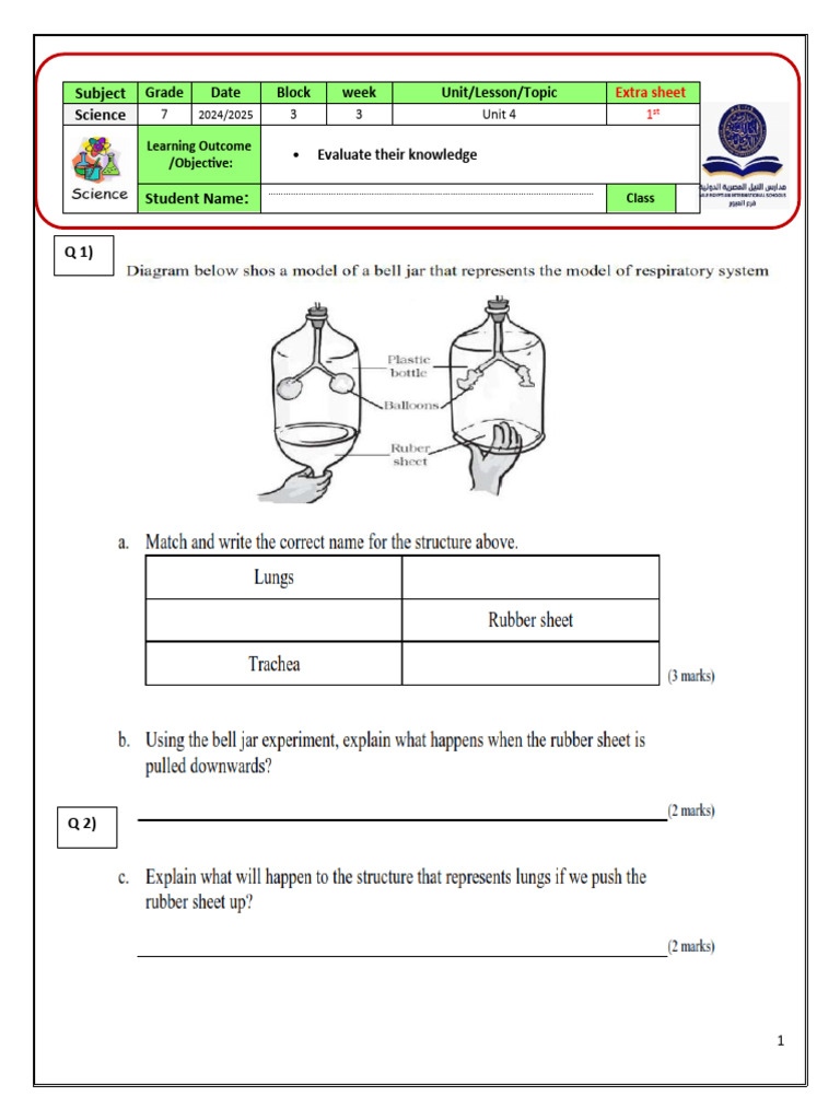 7th Grade Science Unit 4 Assessment | PDF | Breathing | Blood