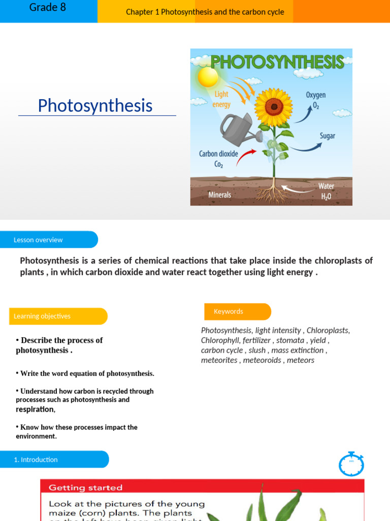 1.1 Photosynthesis | PDF