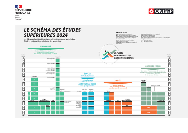 Schéma des études supérieures 2024 | PDF | Pharmacien | Qualifications