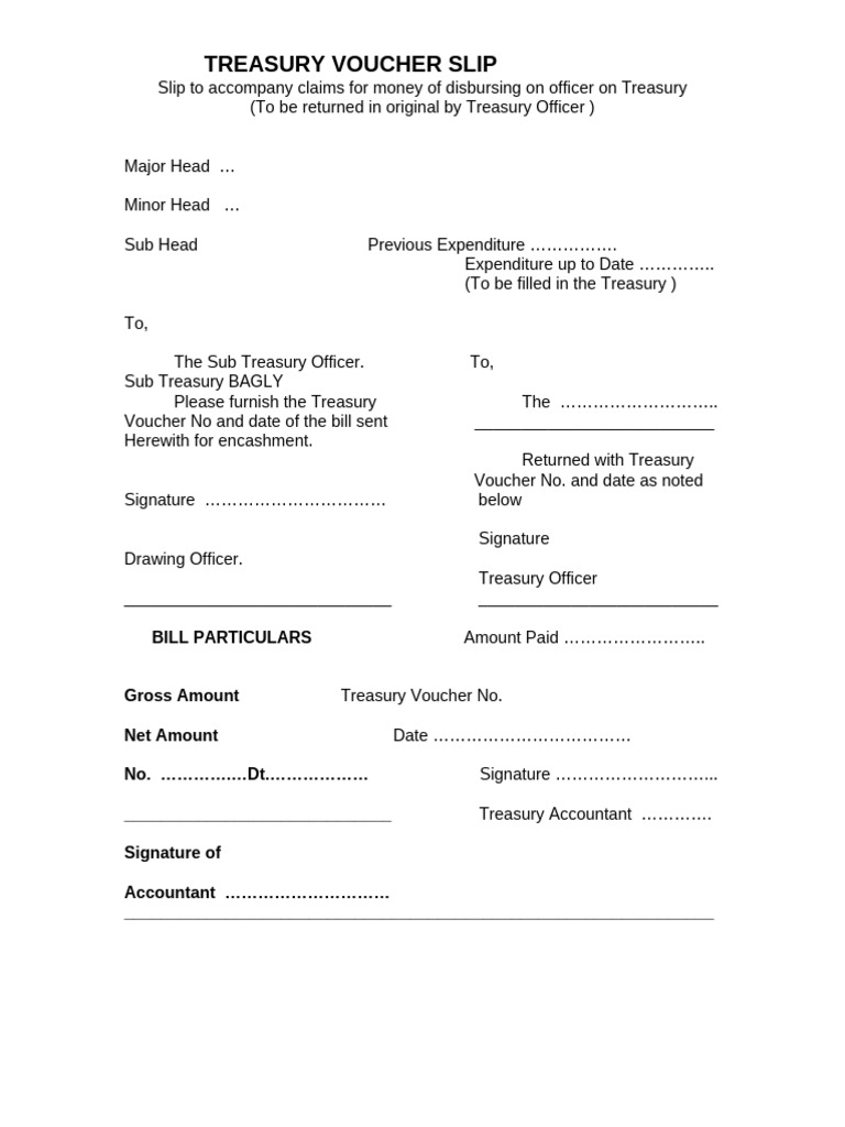 Treasury Voucher Slip: Bill Particulars | PDF