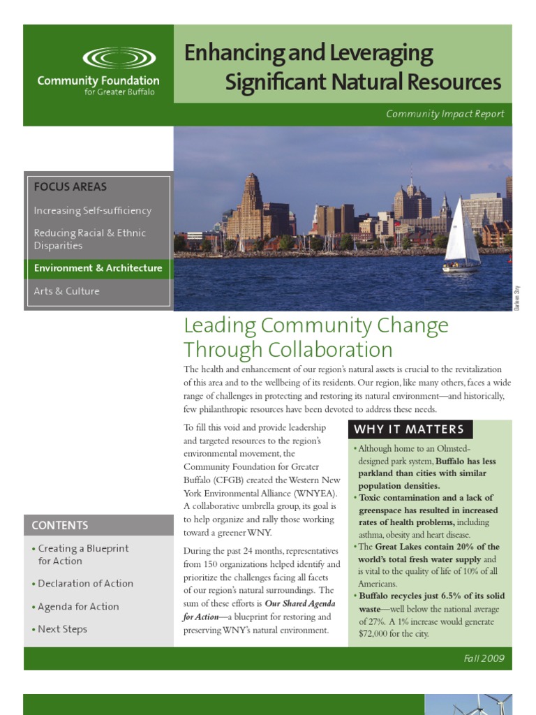 WNY Environmental Action Blueprint | PDF | Environmental Science ...