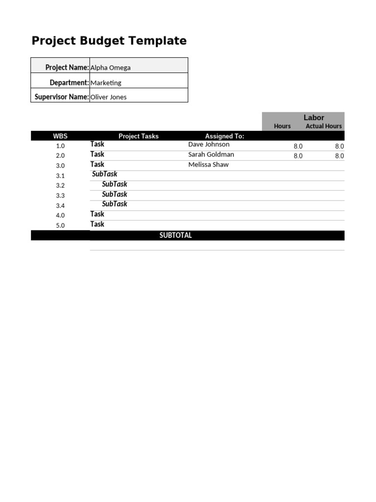 Project Budget Template for Marketing | PDF | Project Management