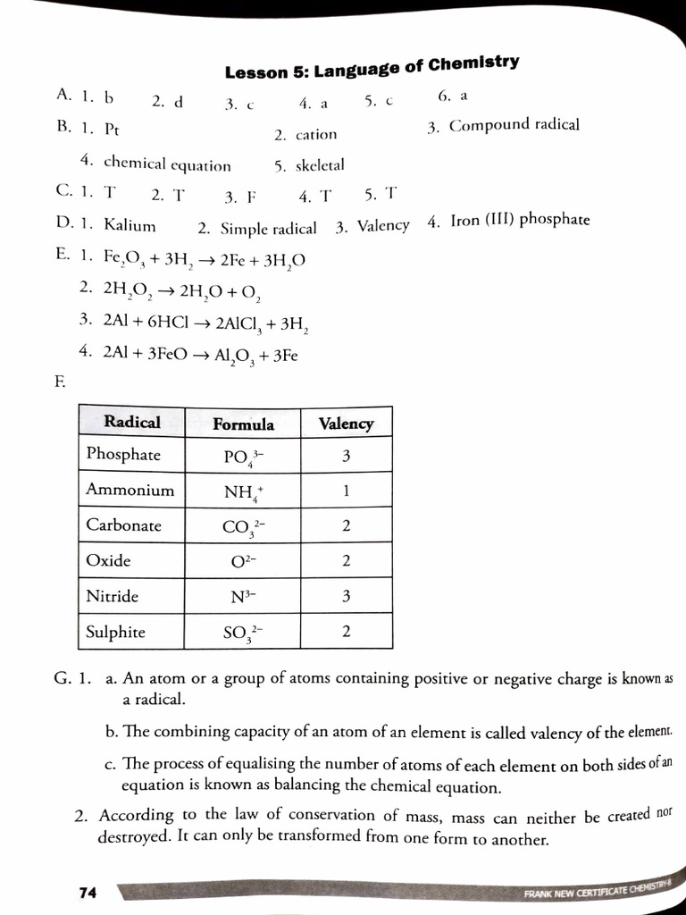 Understanding Chemical Equations and Reactions | PDF | Atomic Nucleus ...
