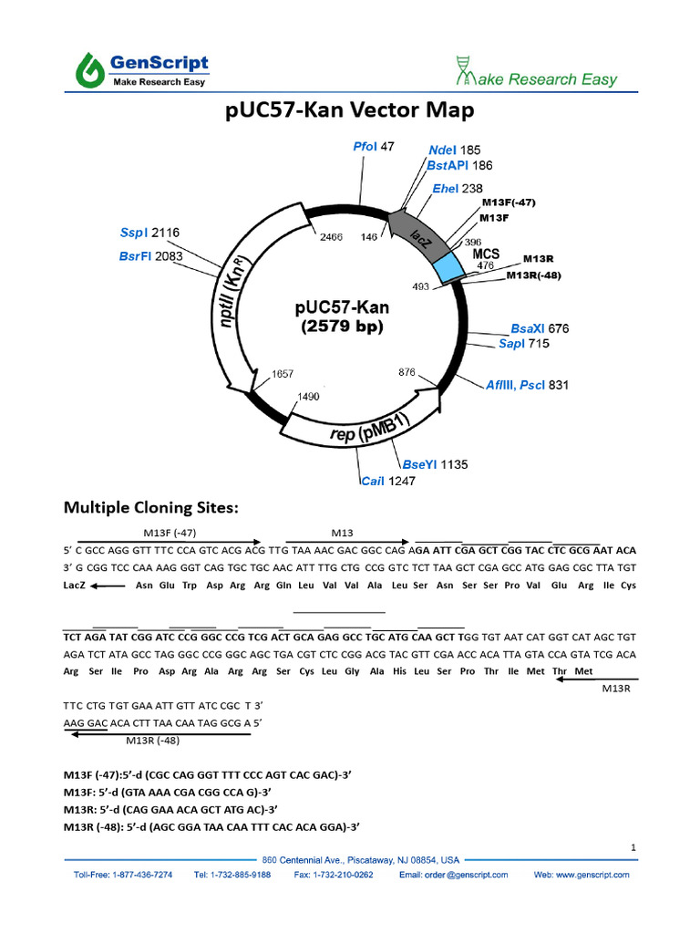 GenScript pUC57-kan Plasmid Map | PDF | Biotechnology | Genetics