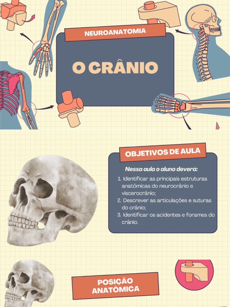 CRÂNIO | PDF