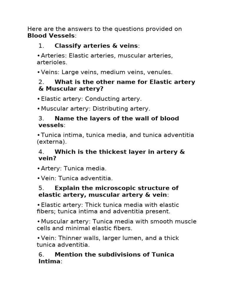 Exam Oriented Questions In Histology Pdf Artery Vein