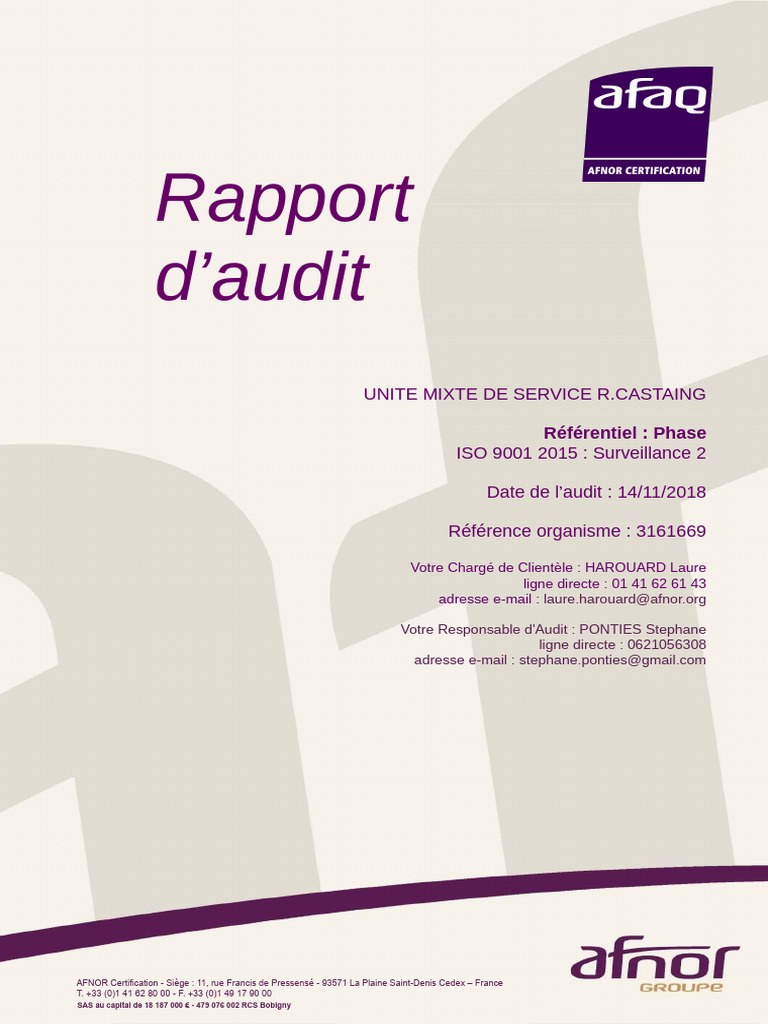 Rapport d'Audit ISO 9001 UMS Castaing | PDF | Système de management de ...