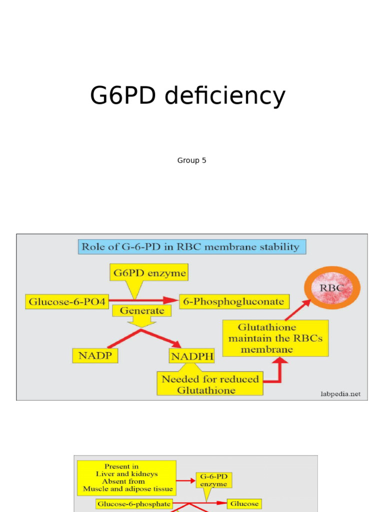 g6pd Deficiency Anemia | PDF | Anemia | Diseases And Disorders