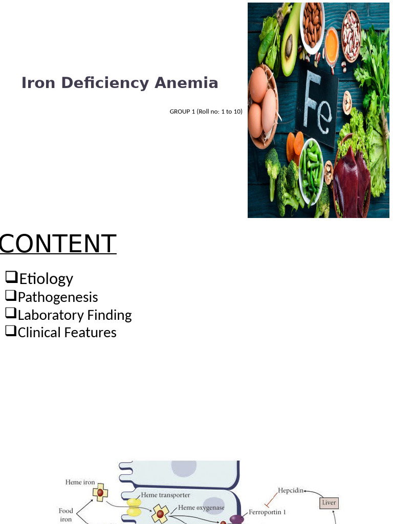 Iron Deficiency Anaemia | PDF