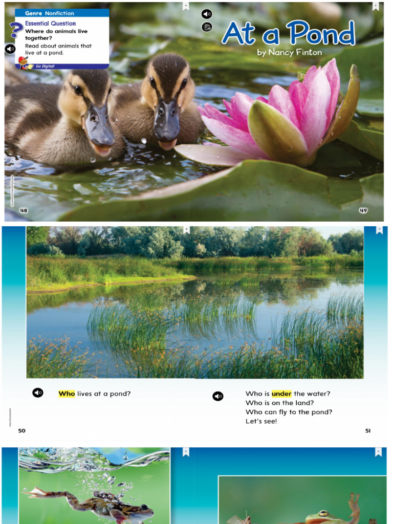 At A Pond | PDF