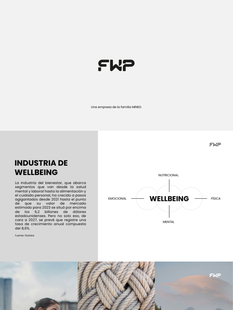 Oportunidades de Negocio FWP en Perú | PDF