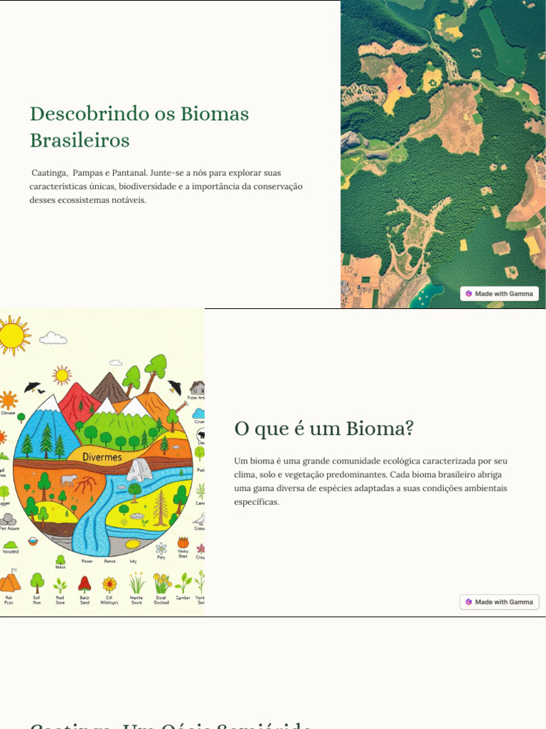 Biomas Brasileiros: Caatinga, Pampas e Pantanal | PDF | Biodiversidade ...