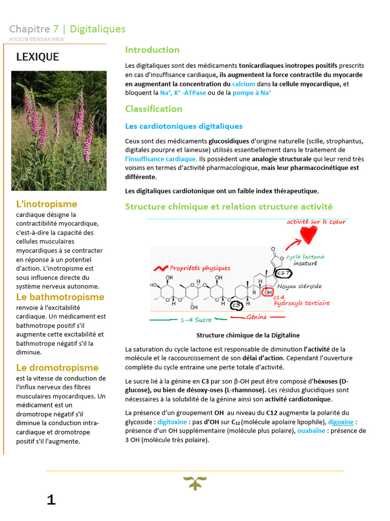 Digitaliques : Mécanismes et Effets | PDF | Cœur | Pharmacocinétique