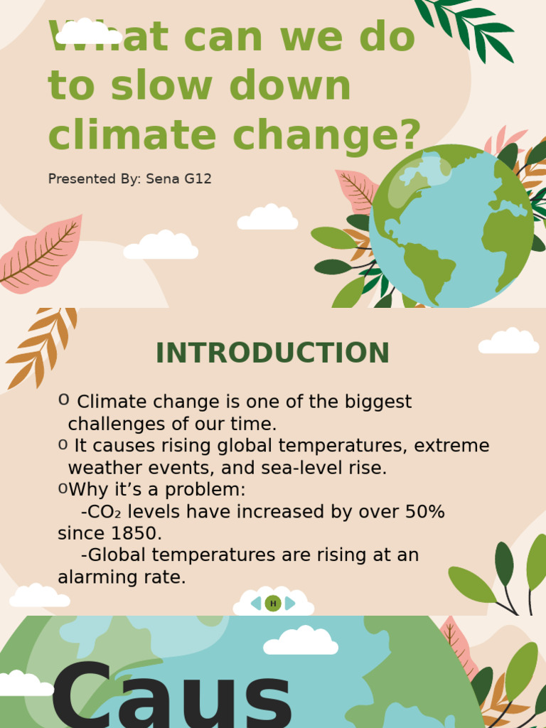 What Can We Do To Slow Down Climate Change? | PDF