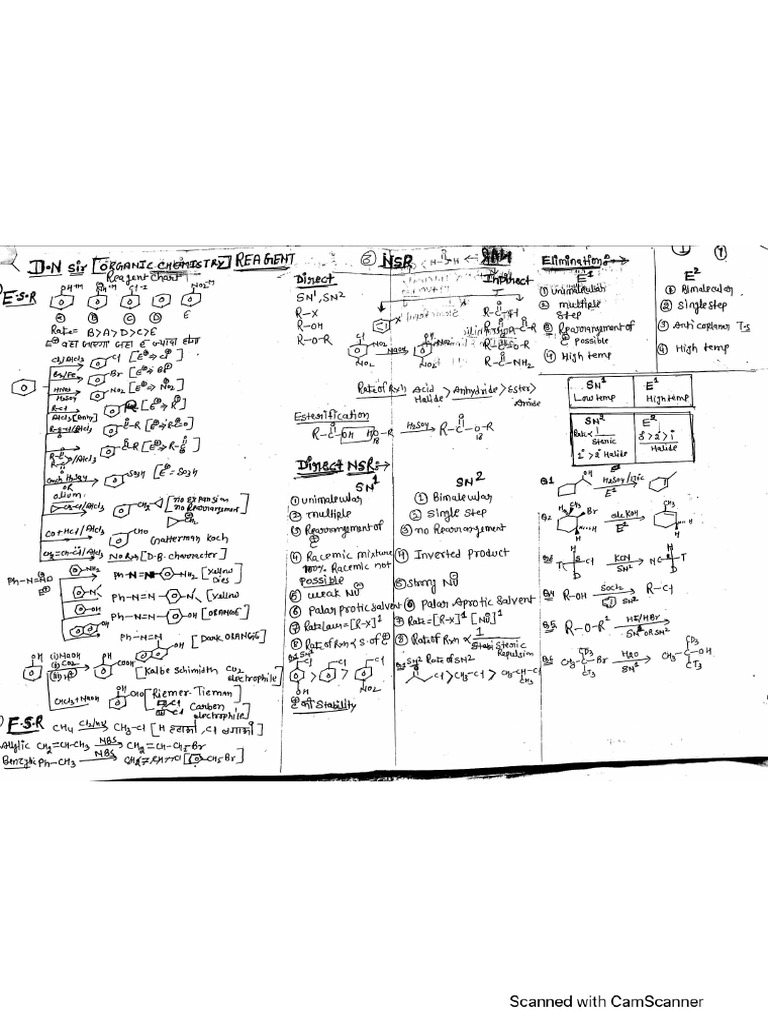 DN Brand Organic Short Notes | PDF