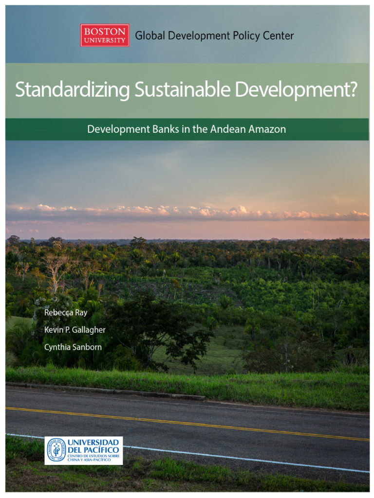 Development Banks in The Andean Amazon | PDF | Amazon Rainforest ...