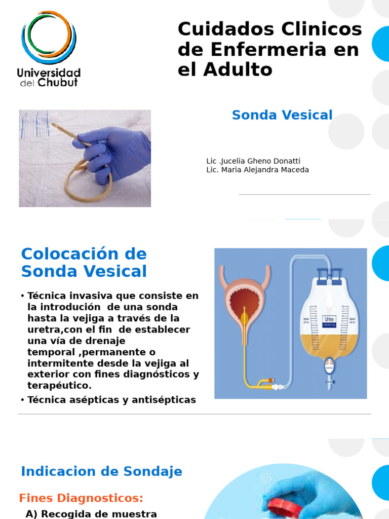 cuidados-de-sonda-vesical-en-adultos-pdf-urolog-a-especialidades