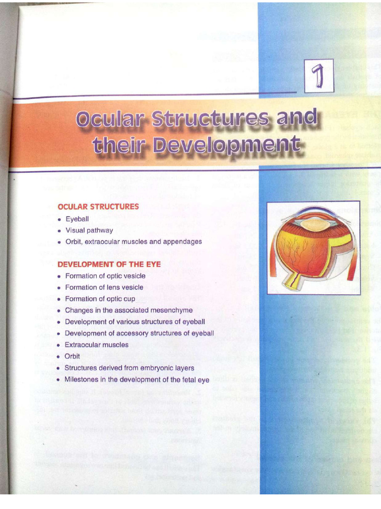 Anatomy and Physiology of the Eye | PDF