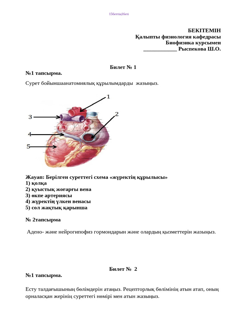 Мария Озава порно видео онлайн