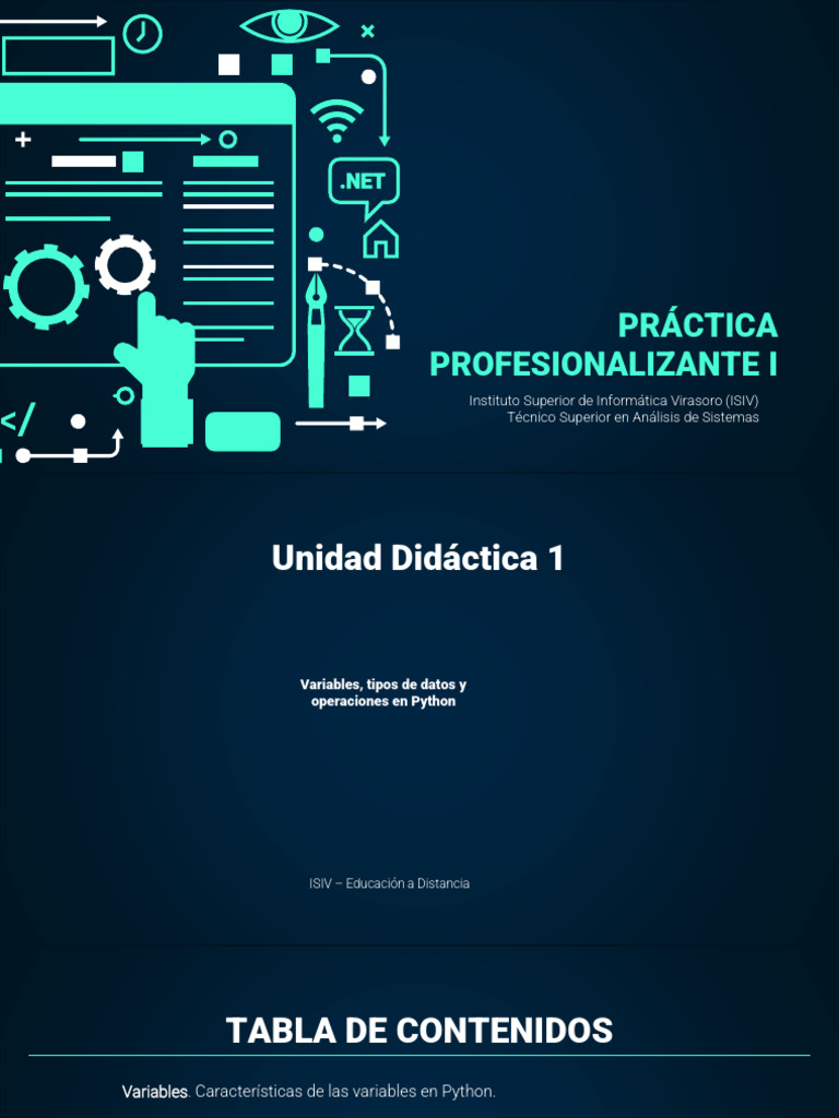 Unidad 1 - PProf1 | PDF | Tipo de datos | Python (lenguaje de programación)