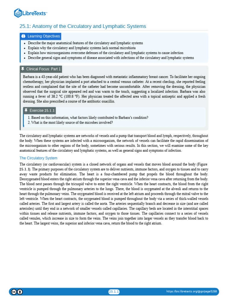 25.01 Anatomy of The Circulatory and Lymphatic Systems | PDF ...