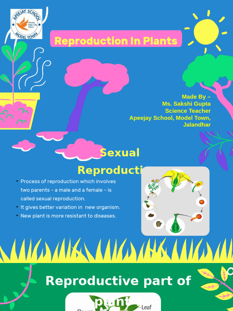 Sexual Reproduction in Plants Final | PDF | Flowers | Seed