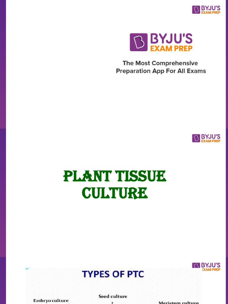 Plant Tissue Culture 21706708528695 | PDF | Embryo | Seed