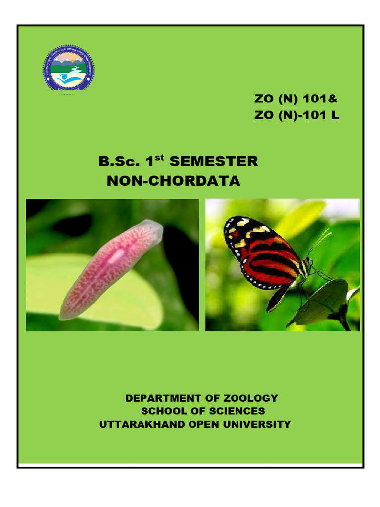 NON CHORDATE ZOOLOGY visual data 4
