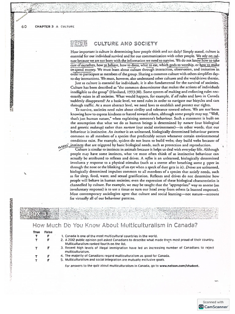 Chapter 3 Culture | PDF