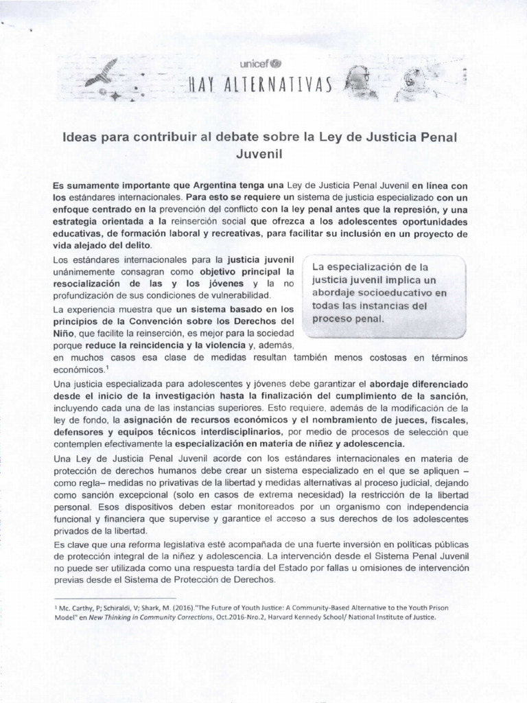 Ideas para Contribuir Al Debate Sobre La Ley de Justicia Penal Juvenil ...