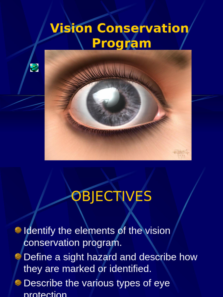 Eye Safety and Injury Prevention Guide | PDF