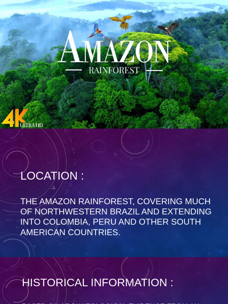 Amazon Rainforest Overview and Facts | PDF
