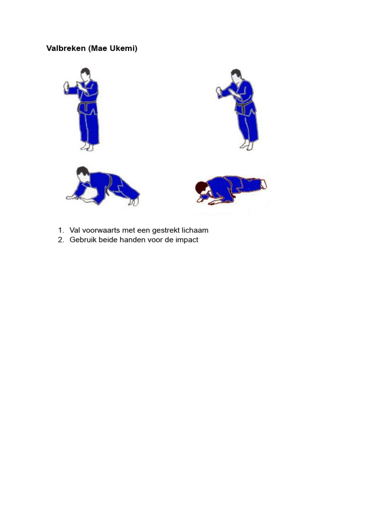 Judo Jaro | PDF