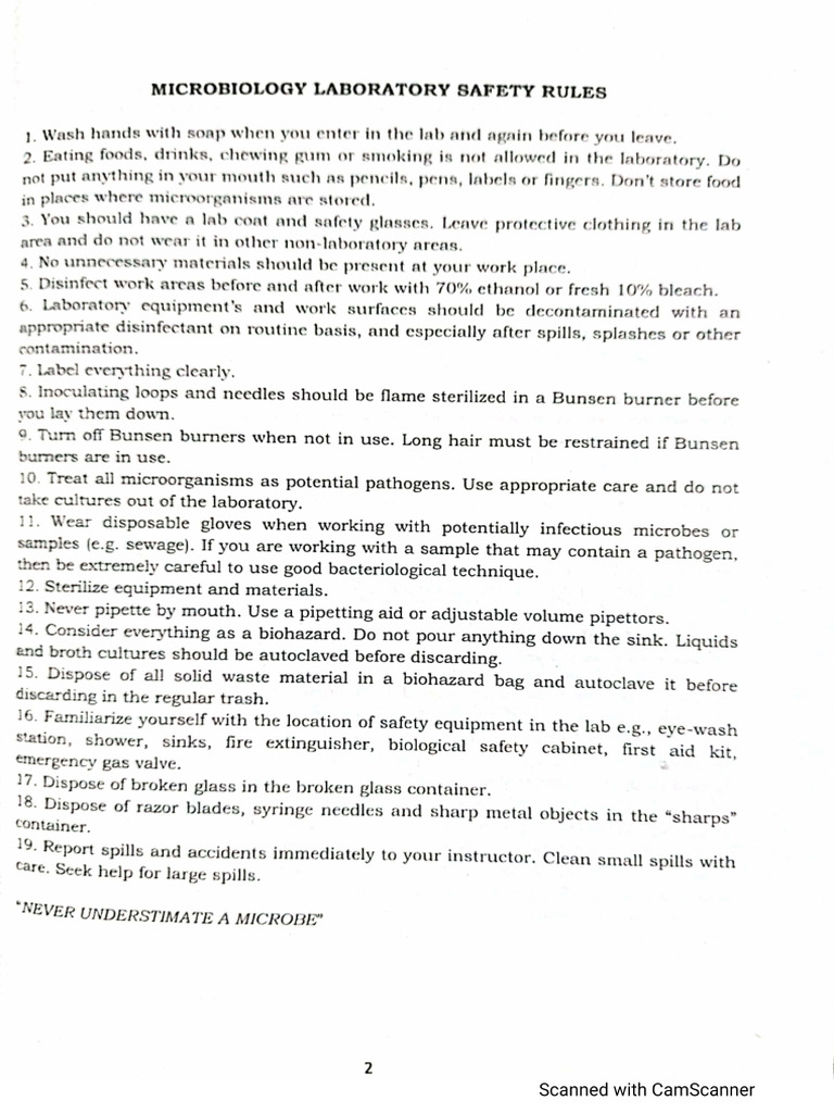 01p lab safety rules and bsl levels pdf