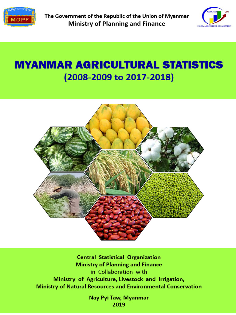 Myanmar Agricultural Statistics 2008-2018 | PDF | Agricultural ...