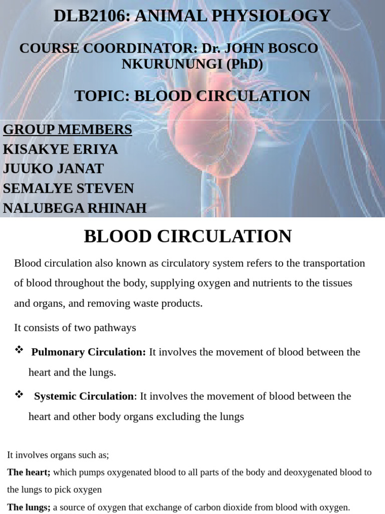 Blood Circulation Group One | PDF | Atrium (Heart) | Diastole