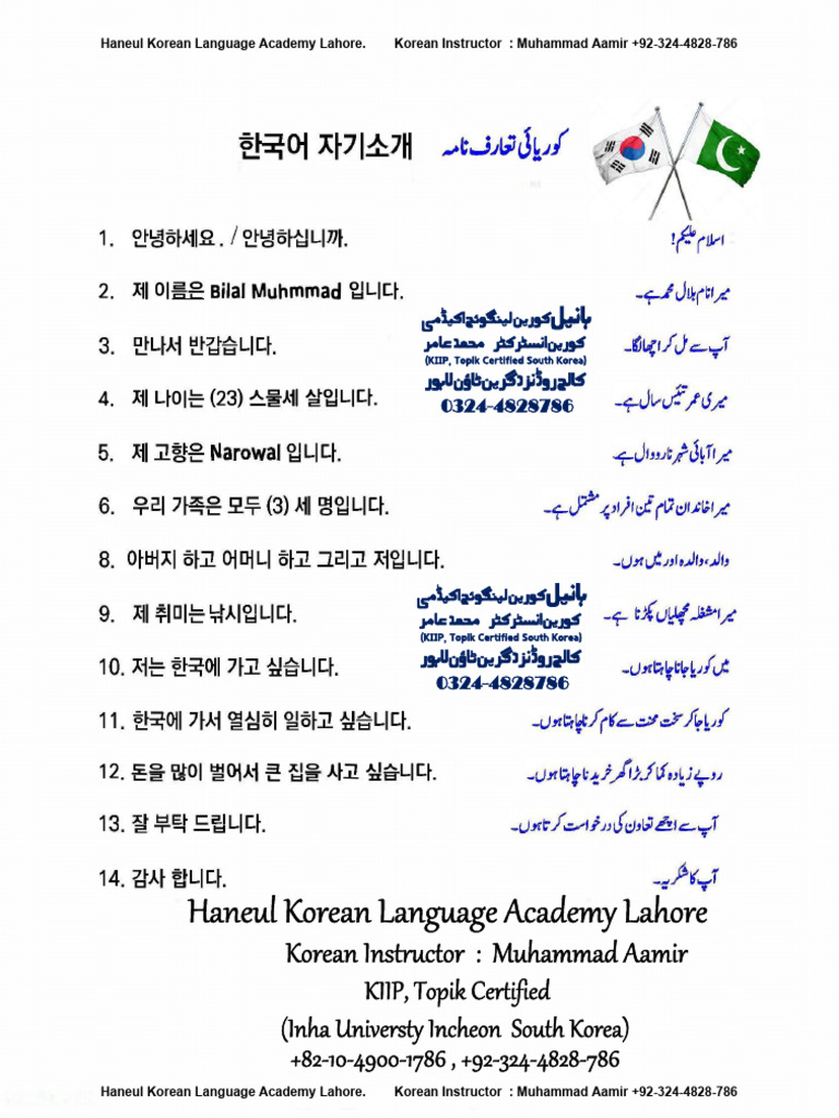 Haneul Korean Language Academy Lahore | PDF