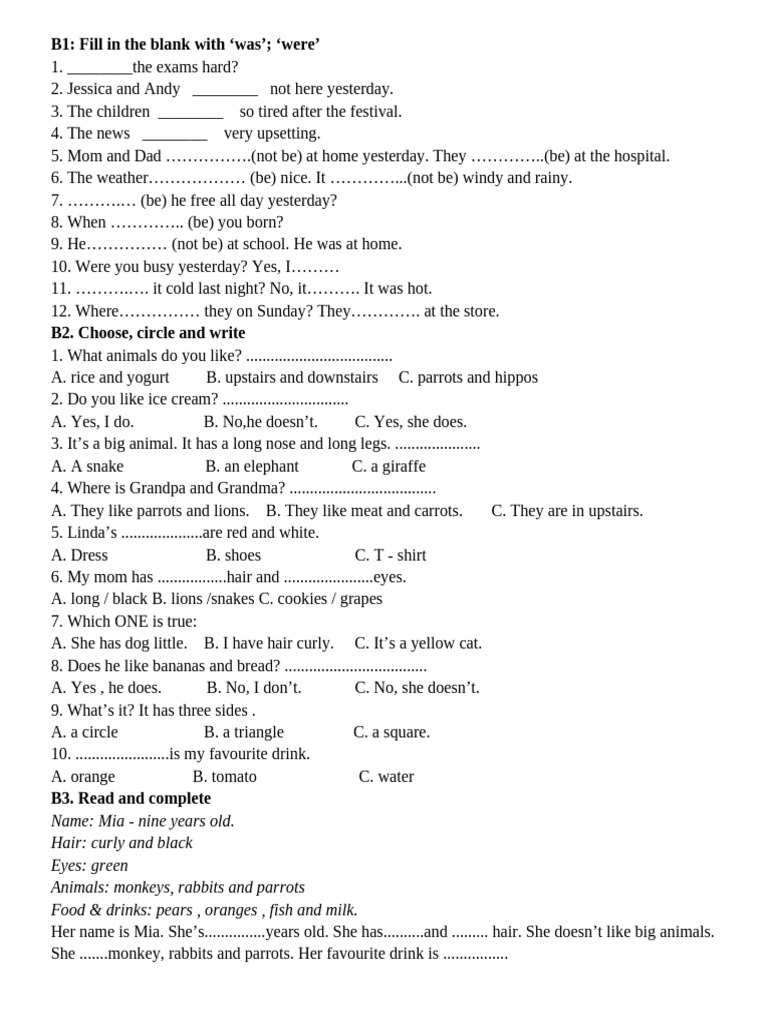 English Grammar Practice Exercises | PDF