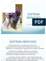 Sistema_nervoso[1]