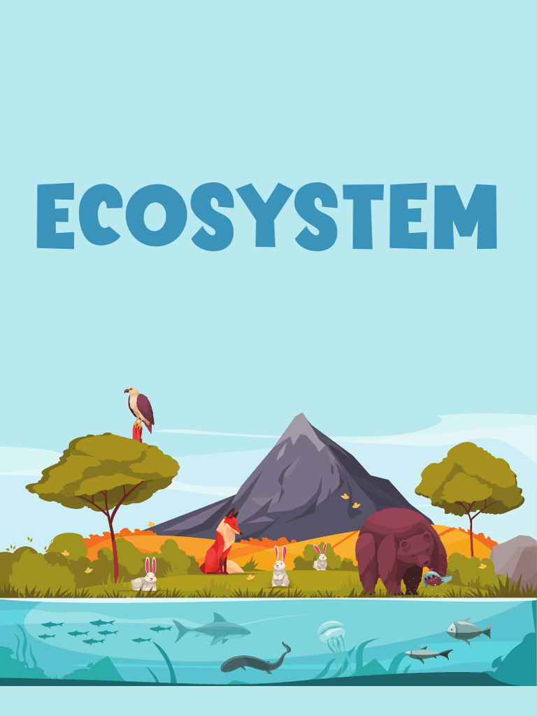 Ecosystem | PDF | Ecosystem | Food Web