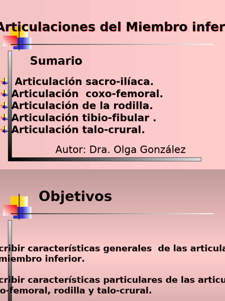 Articulaciones Del Miembro Inferior Pdf Rodilla Articulación