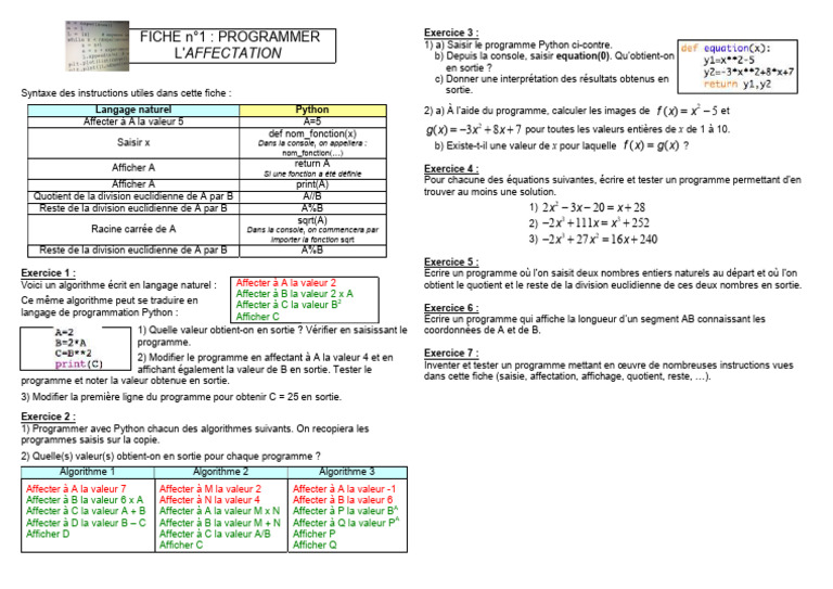 Programmer en Python : Affectations et Algorithmes | PDF ...