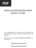 Resumen Carta Ottawa
