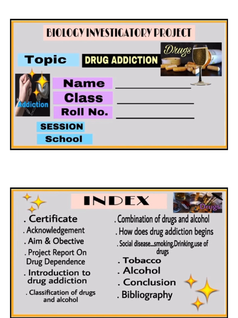 Drug Addiction | PDF