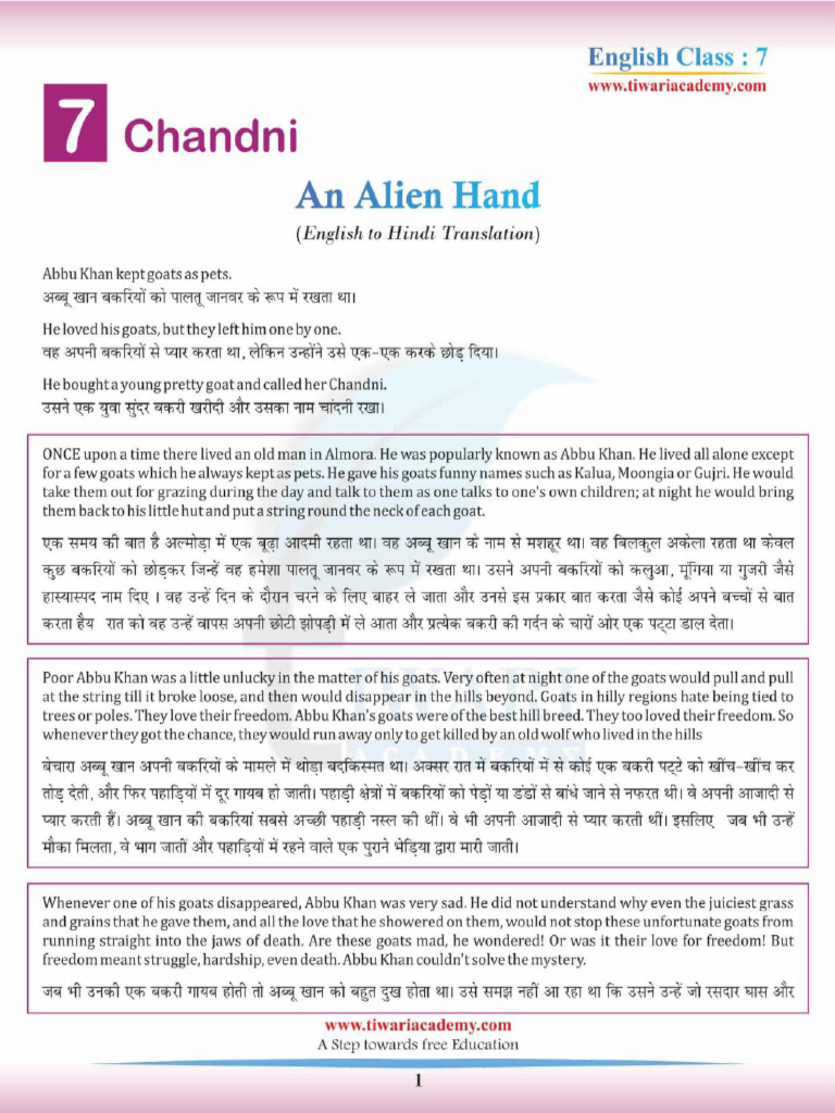 7 English Supplementary Translation Chapter 7 | PDF