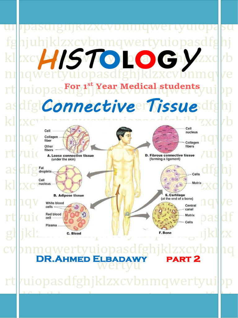 Histology: Connective Tissue Overview | PDF | Connective Tissue ...
