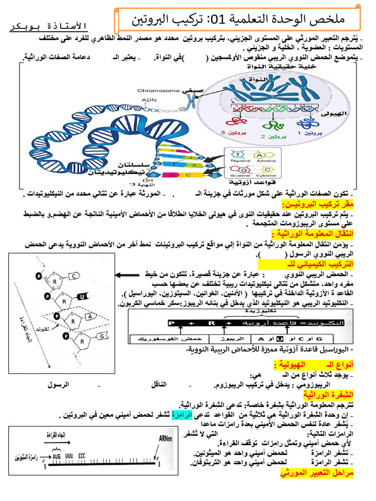 1-pdf