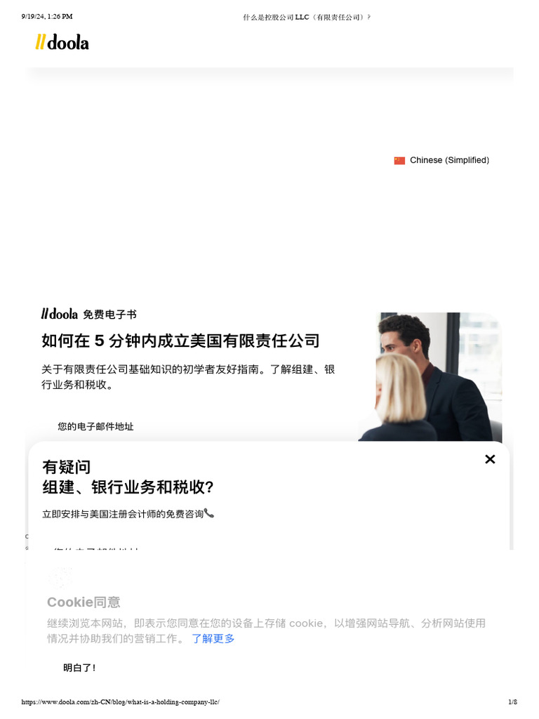 什么是控股公司LLC（有限责任公司）？ | PDF