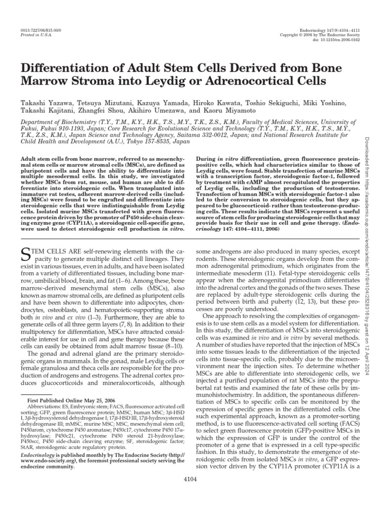Differentiation of Adult Stem Cells Derived From Bone Marrow Stroma ...